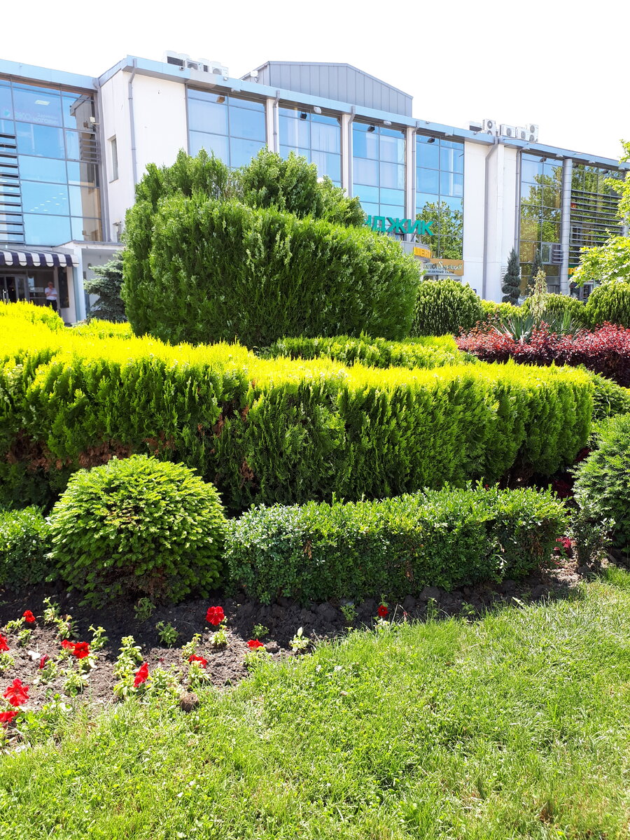 Геленджик 2019