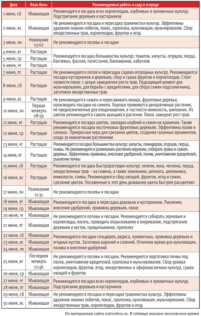 Лунный календарь на ноябрь садовода и огородника