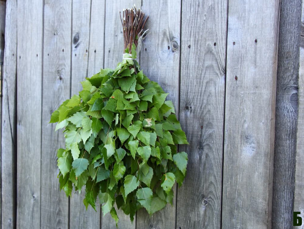 Свежие веники, вот что отличает летнюю баню от любой другой))