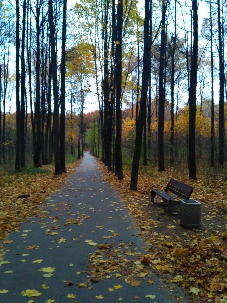 личное фото