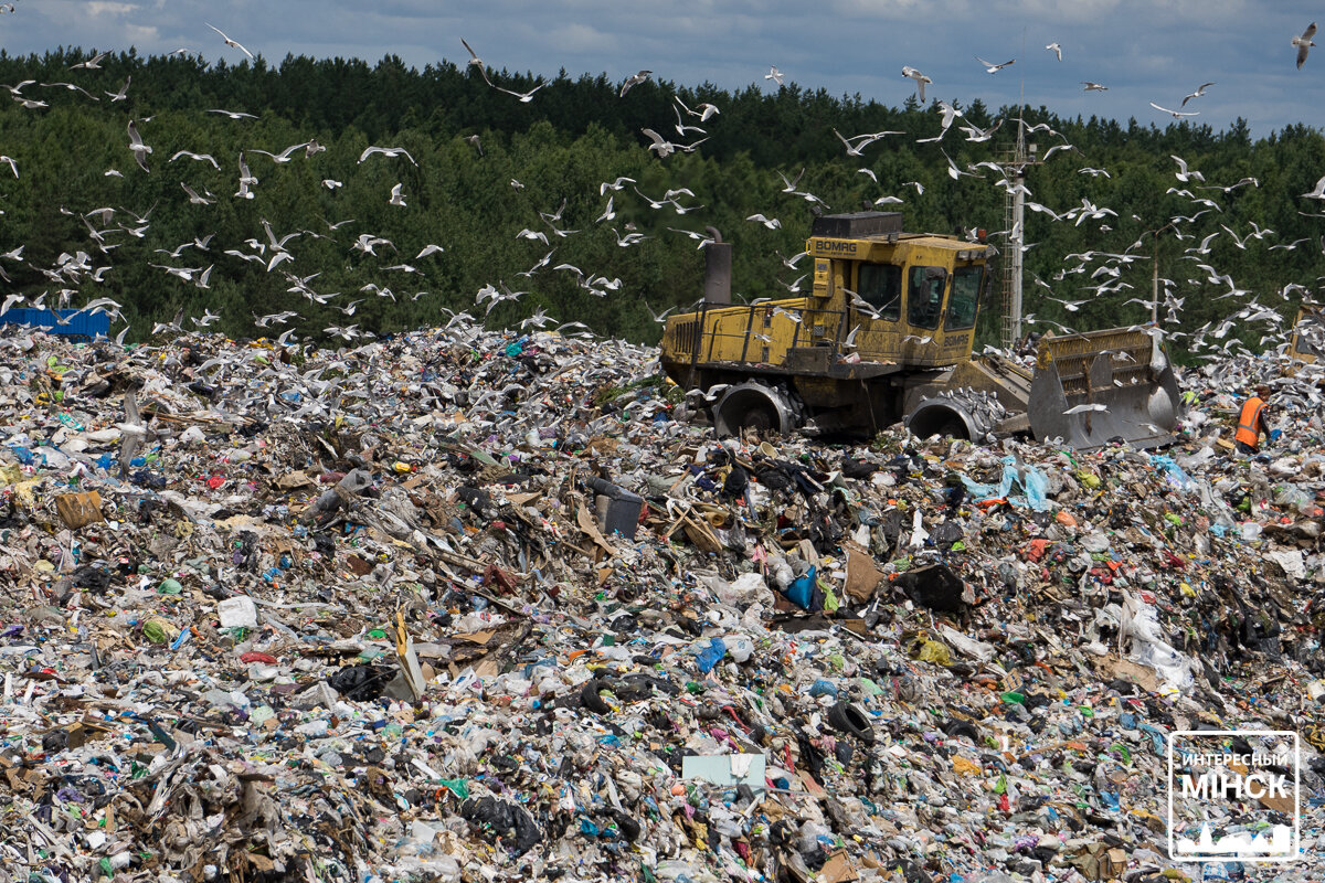 отходы рб. отходы рб. белорусские свалки. городская свалка мусора. свалка.