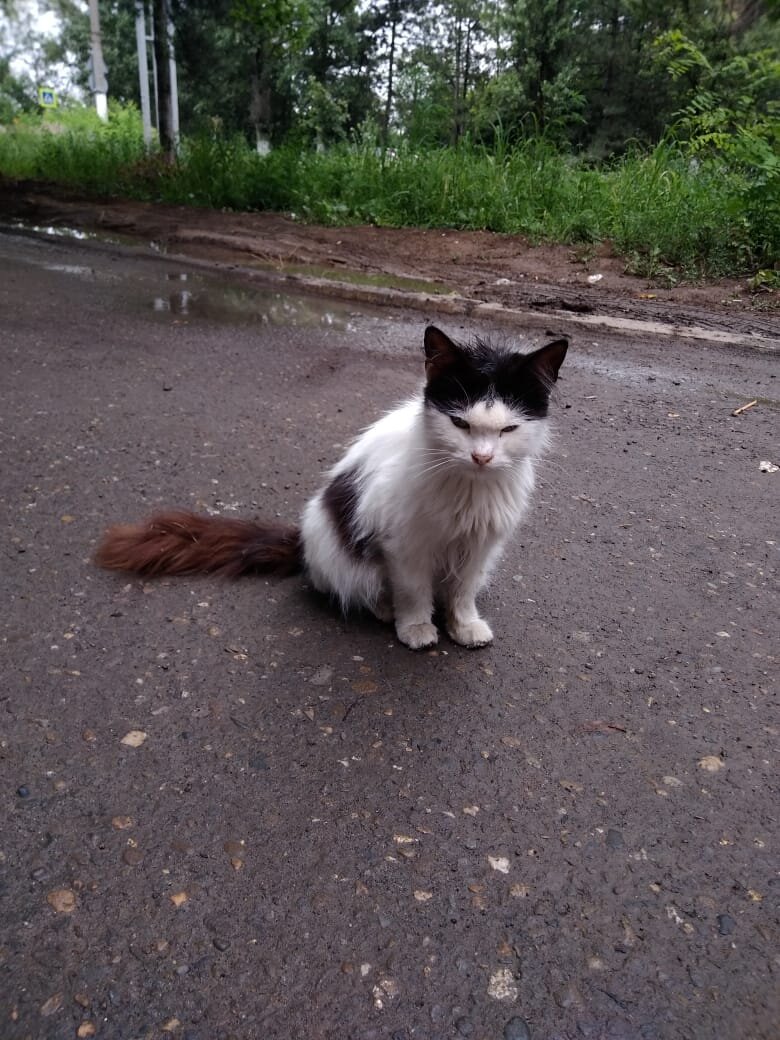 Я думал,что он от меня сбежит