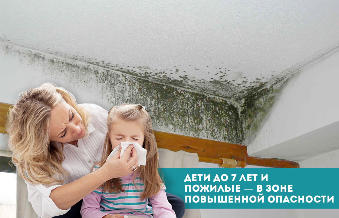 До 50% случаев детской астмы вызваны плесенью