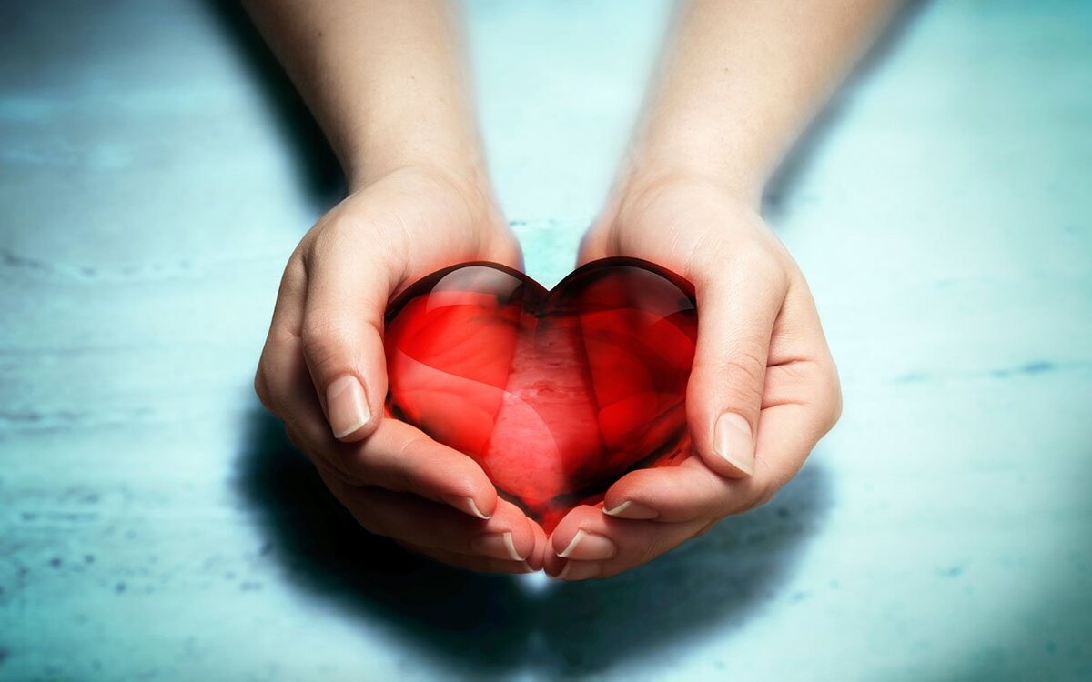 Фото из открытых источников