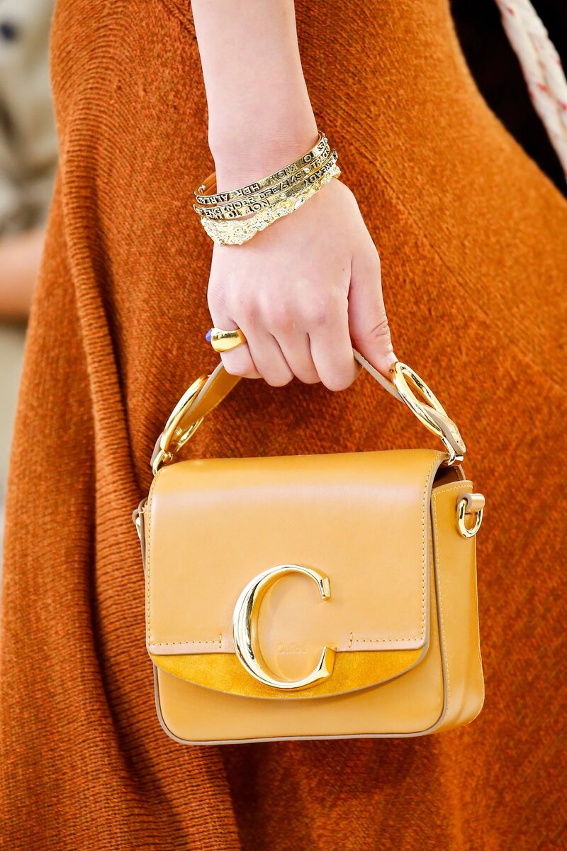 Сумка Chloe C mini с акцентной пряжкой стала любимицей всех модниц и селебрити. /Фото: spottedfashion.com