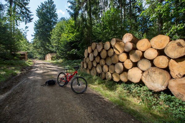 Главное отличие Германии от России, которое бросается в глаза русскому велосипедисту в немецком лесу