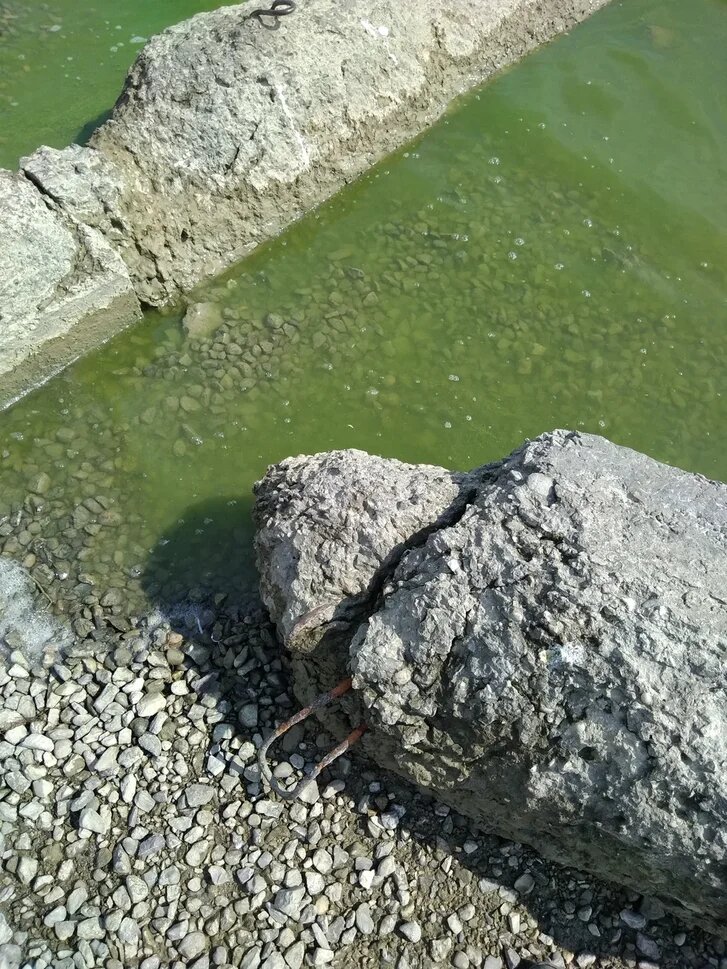 Нет это не болото, это море...