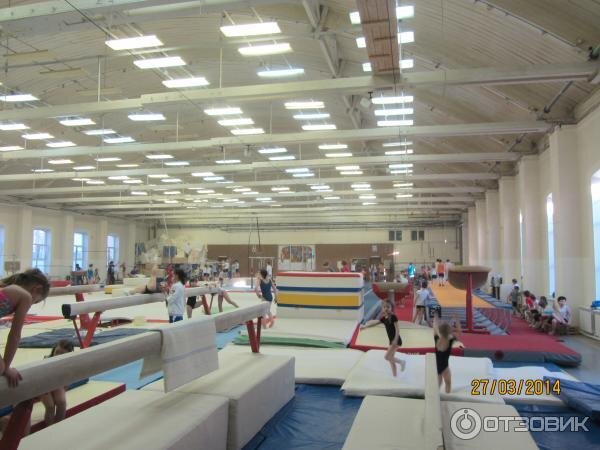 ЦСКА гимнастический зал Ватутинки