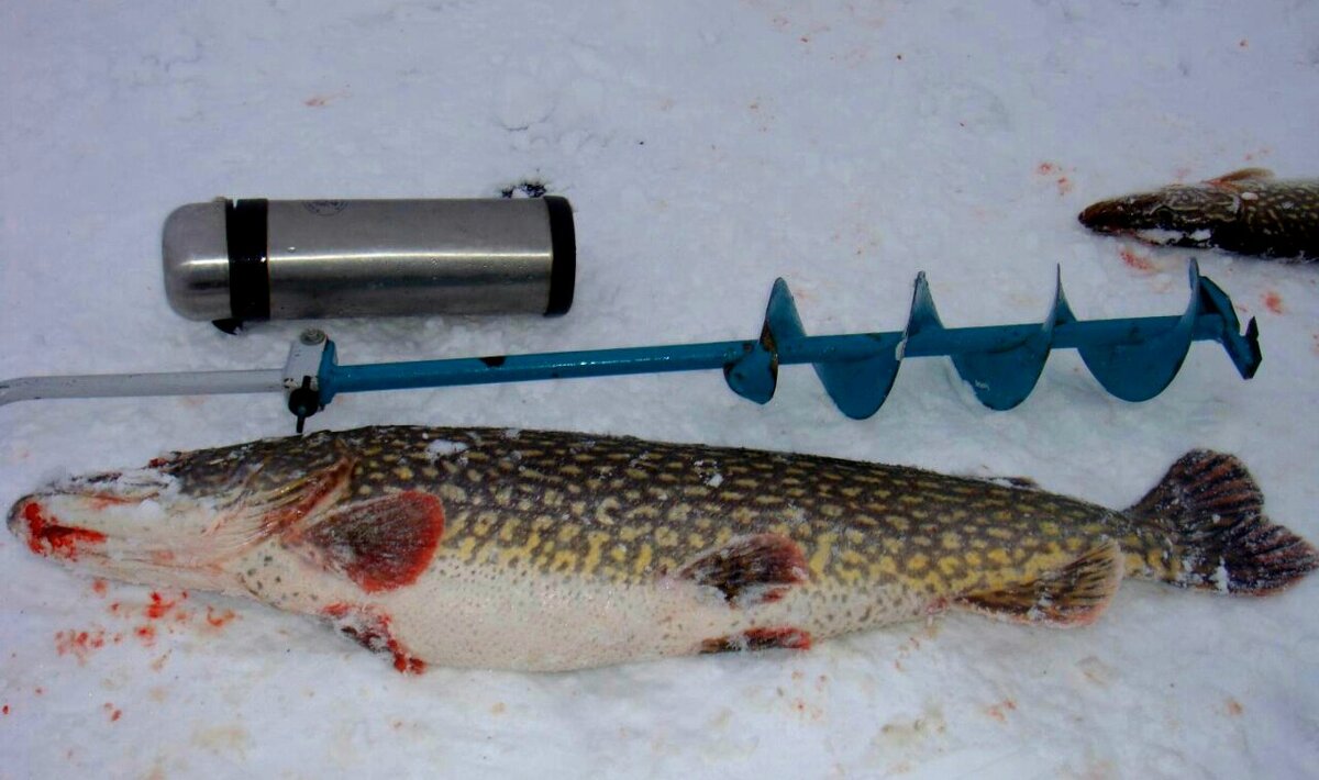 Мой термос на всех зимних фото