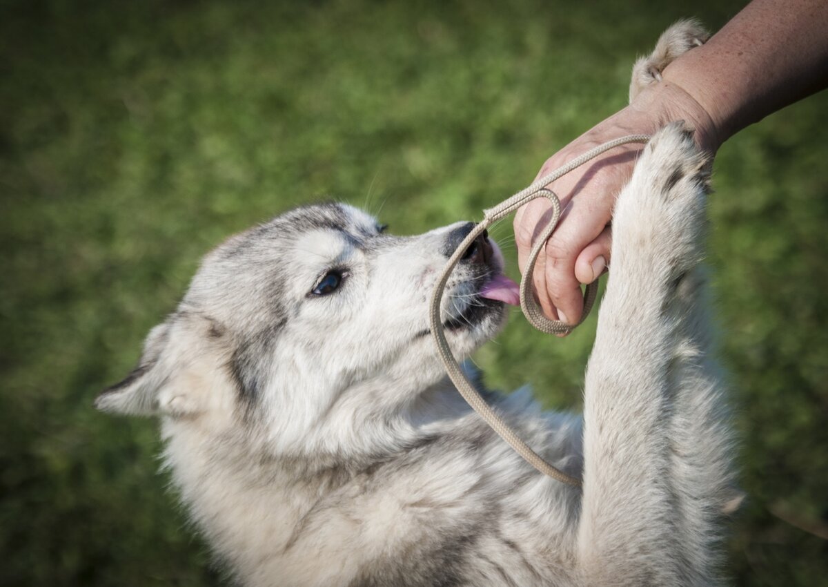 На фото крошка Надя, едет в Крым в сентябре, если ничего не поменяется