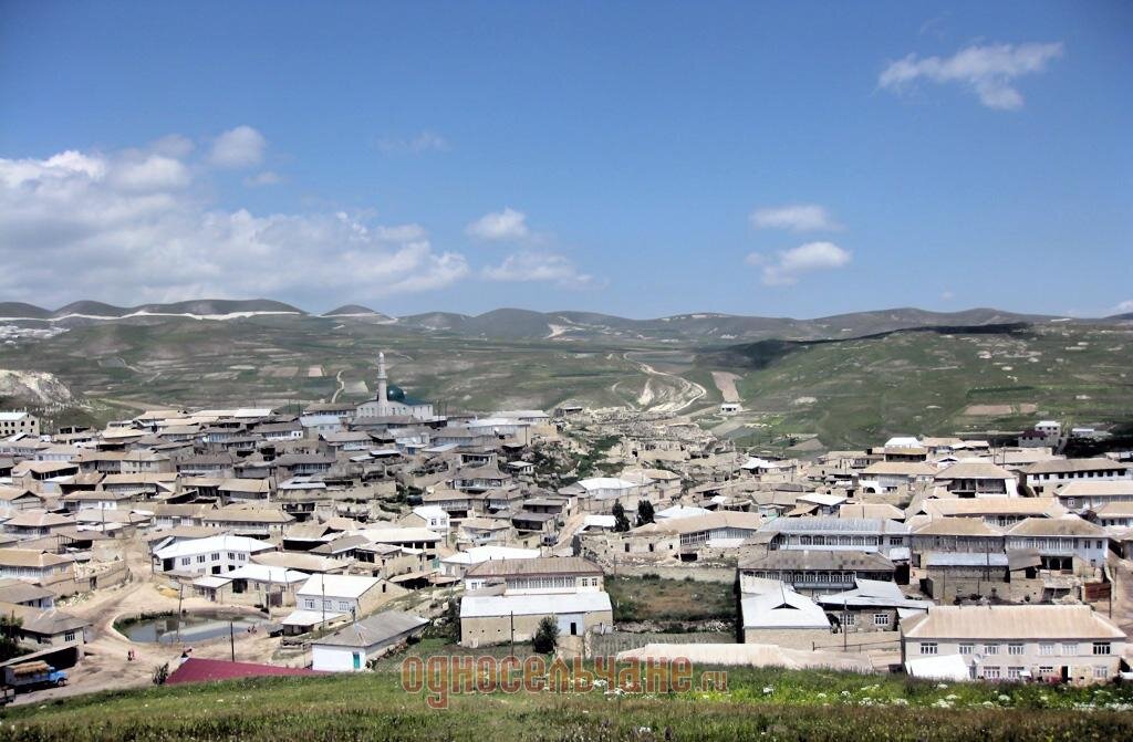 Вот тут, значит, и проходил этот геронтологический детектив