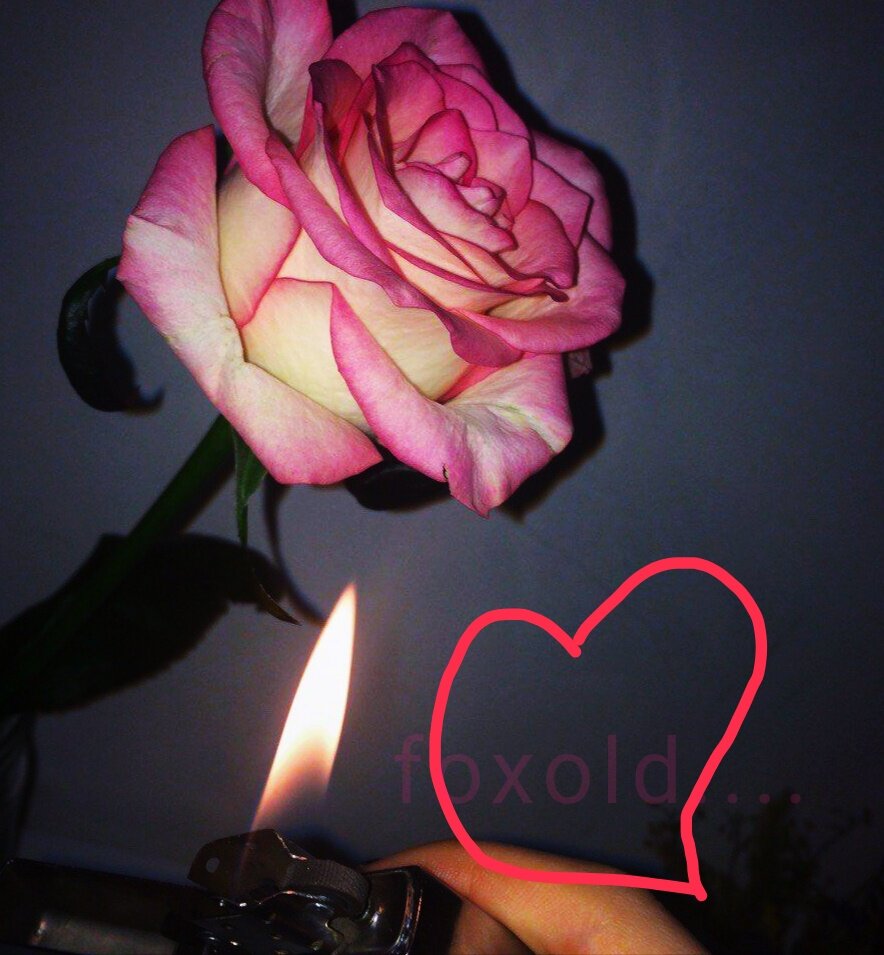 Психология, мнение, дети, общество, общение 