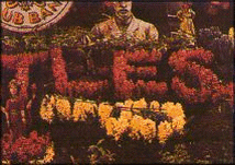 На бас-гитаре для левши осталось три струны!