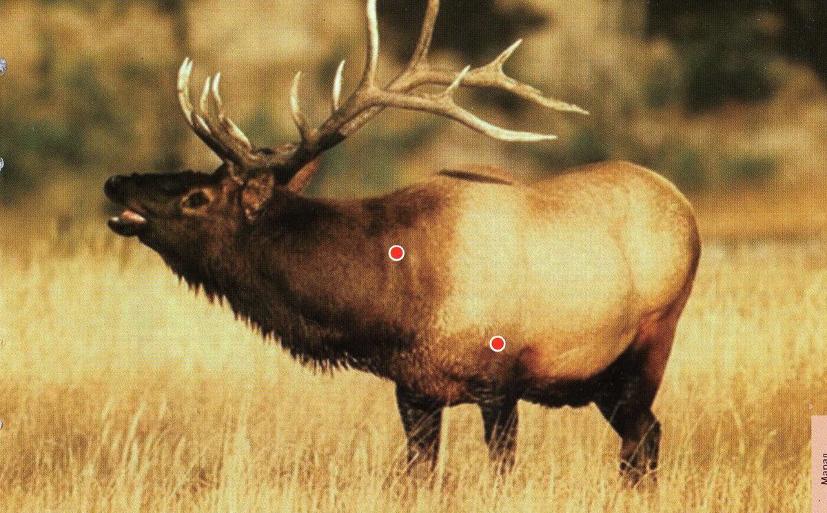 рис. В.В. Бояринов