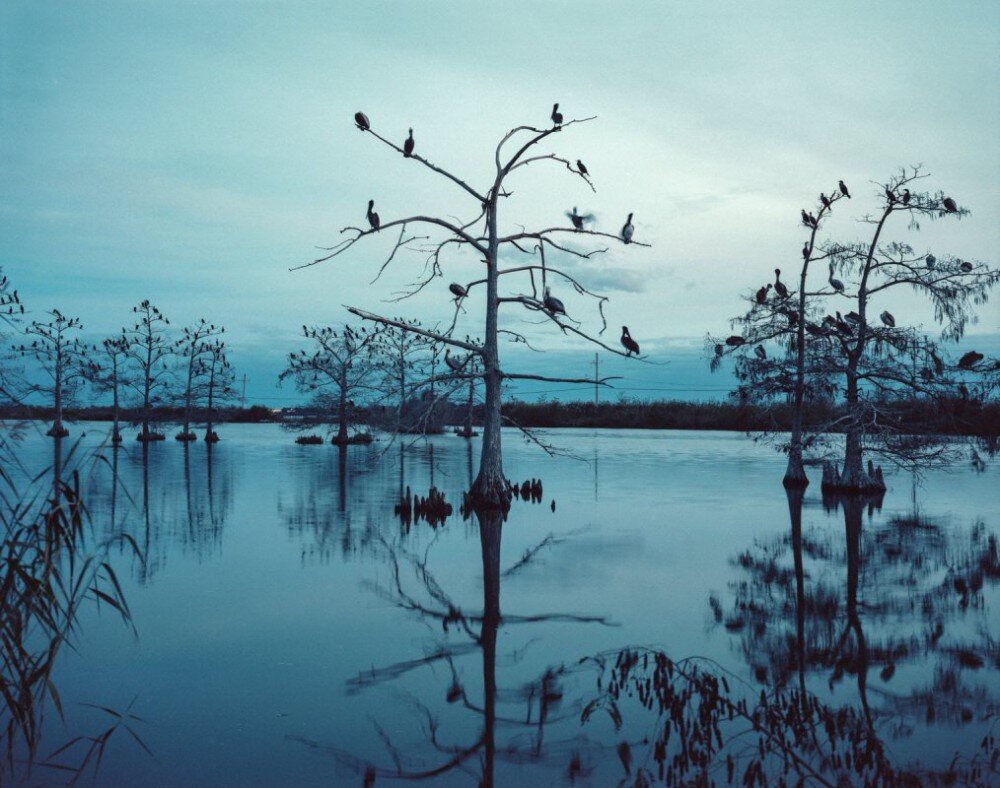 © Mustafah Abdulaziz, серия «Вода». Победитель Leica Oskar Barnack Award 2019