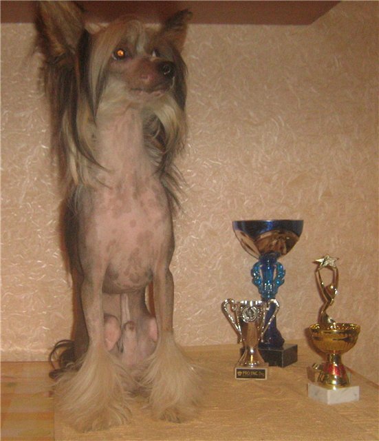 Фото из личного архива