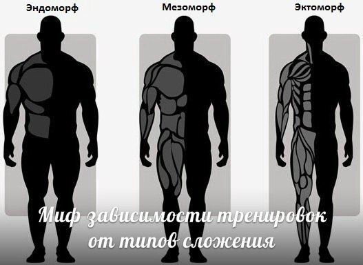 Миф зависимости ТИПОВ ТЕЛОСЛОЖЕНИЯ - Эктоморф, Эндоморф, Мезоморф для ТРЕНИРОВОК