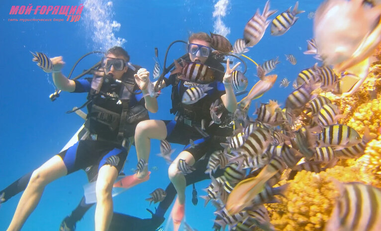 Привет! Мы под водой! 