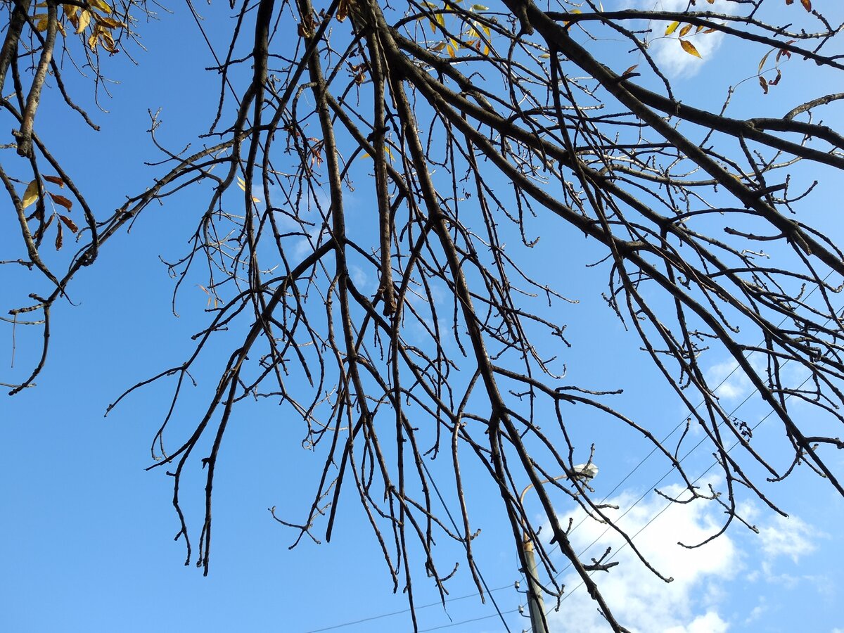 осень. время ярких фоток. 