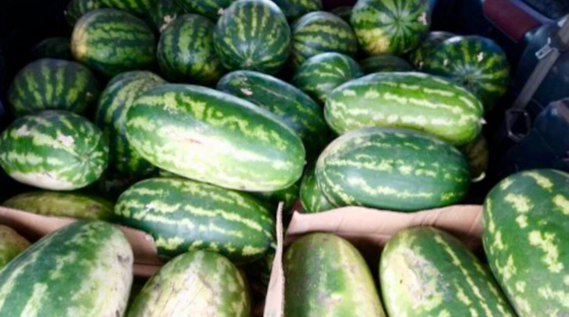 Фото: Яндекс картинки