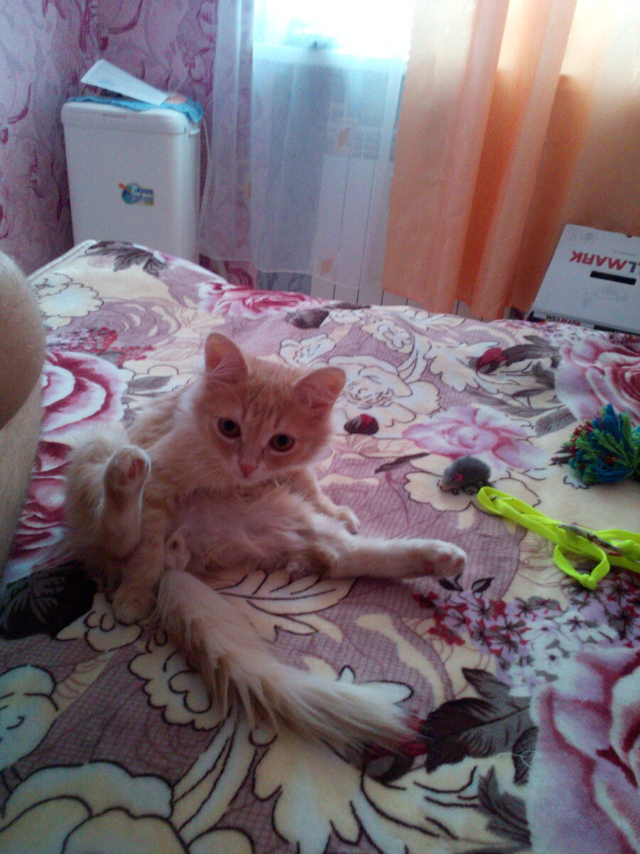 Вы что там совсем???