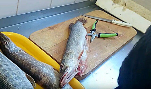 Как быстро, легко и просто разделать щуку на филе за 2-3 минуты - метод работника рыбхоза