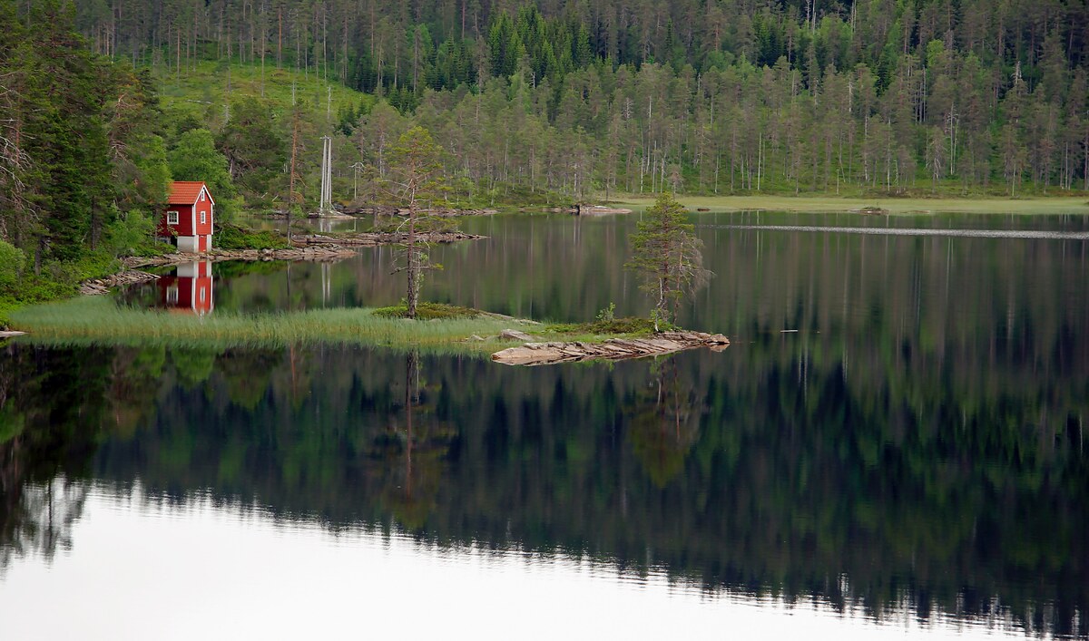 https://unsplash.com/photos/IlOZC5bi5Wg