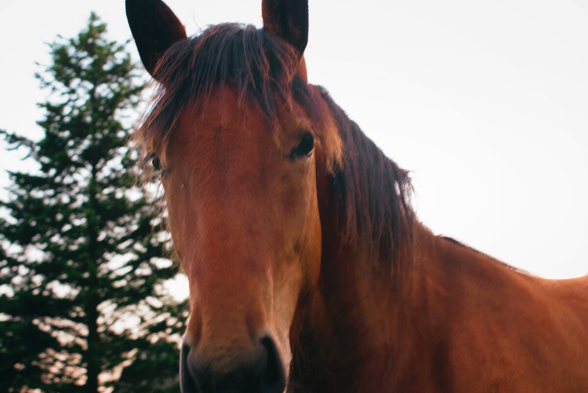 https://unsplash.com/photos/DfuGU_izq04