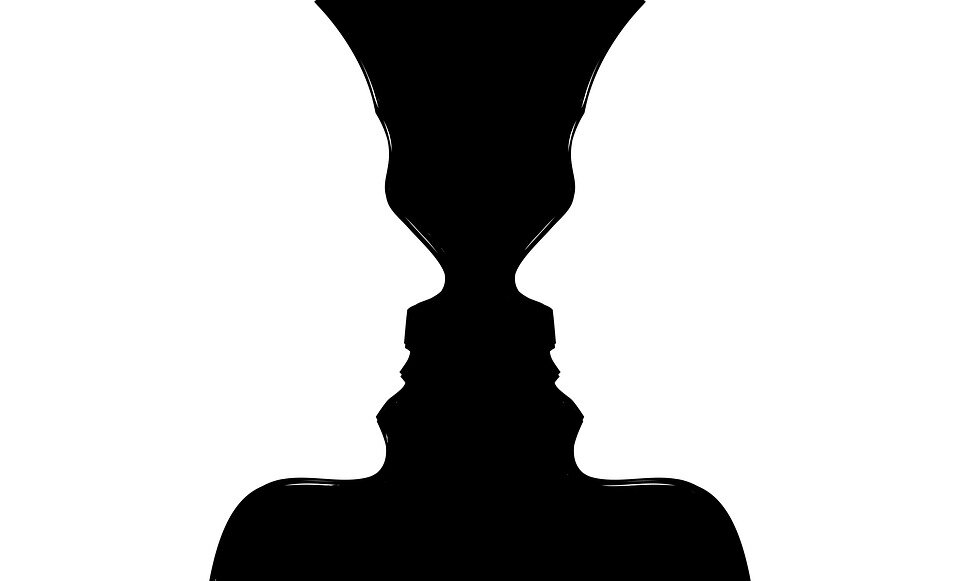 https://pixabay.com/photos/head-brain-thoughts-human-body-1965675/