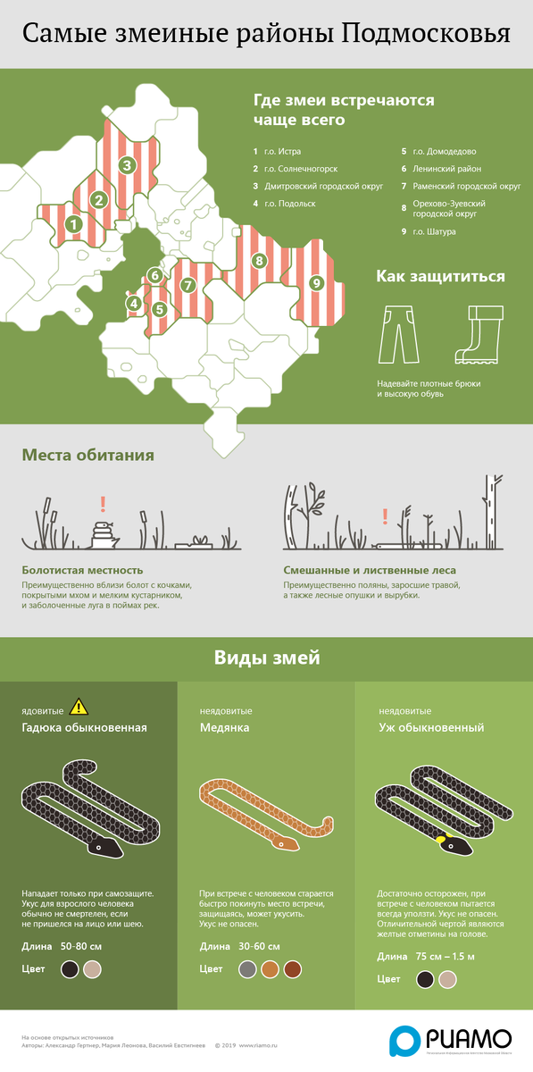 По данным РИАМО. Яндекс.Картинки