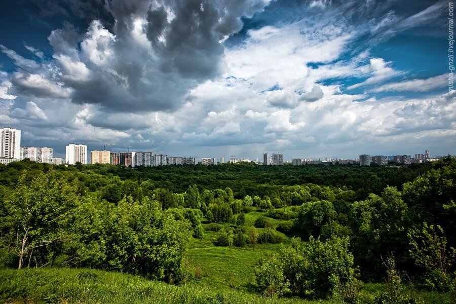 Сходненский ковш. Очень атмосферное место, но подойдет далеко не всем