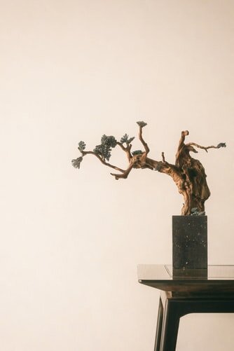 https://images.unsplash.com/photo-1551075649-8fdfd4c6f842?ixlib=rb-1.2.1&ixid=eyJhcHBfaWQiOjEyMDd9&auto=format&fit=crop&w=334&q=80