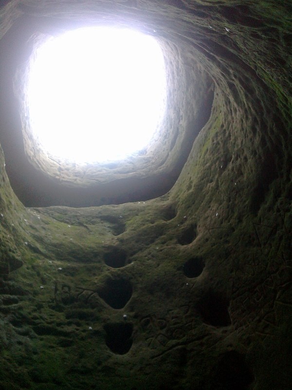 Яндекс.Картинки