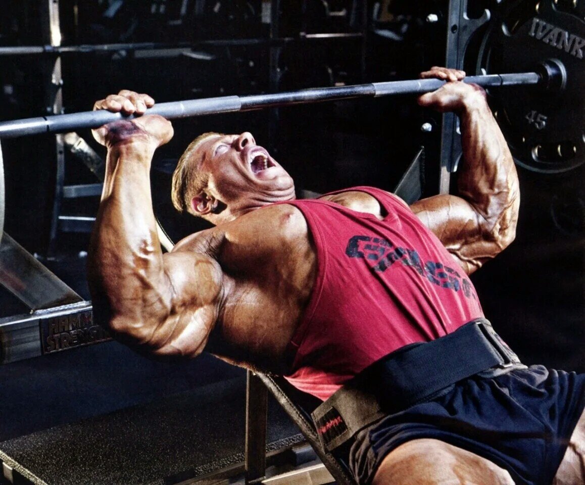 Если дело дошло до крика, то лучше взять вес поменьше...тише едешь, дальше будешь)
