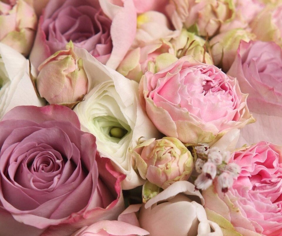 Подарите цветы себе и своим любимым