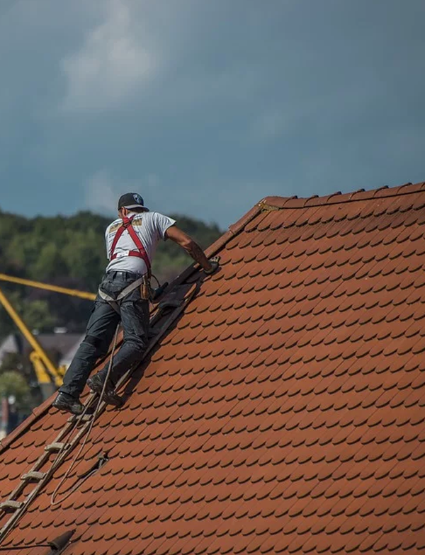 https://pixabay.com/photos/roofers-roof-roofing-craft-2891664