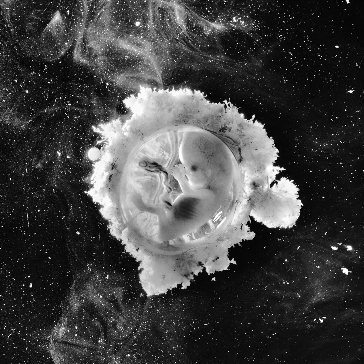 Фото Леннарта Нильсона