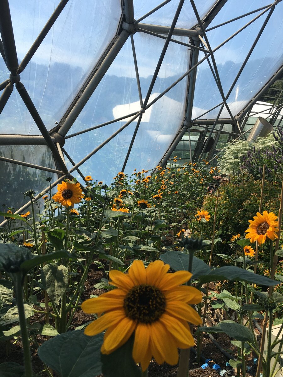 Источник:  Яндекс. Картинки