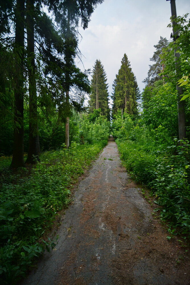  Фото автора.
