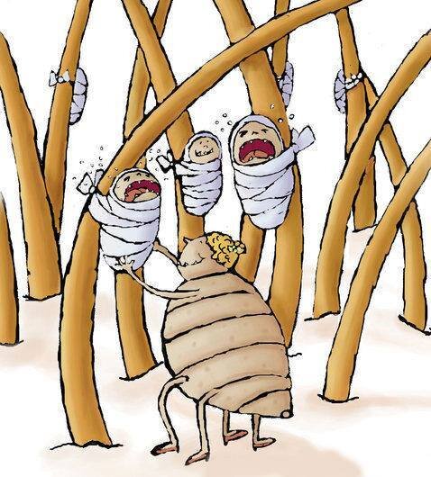 Изображение из поиска яндекс.