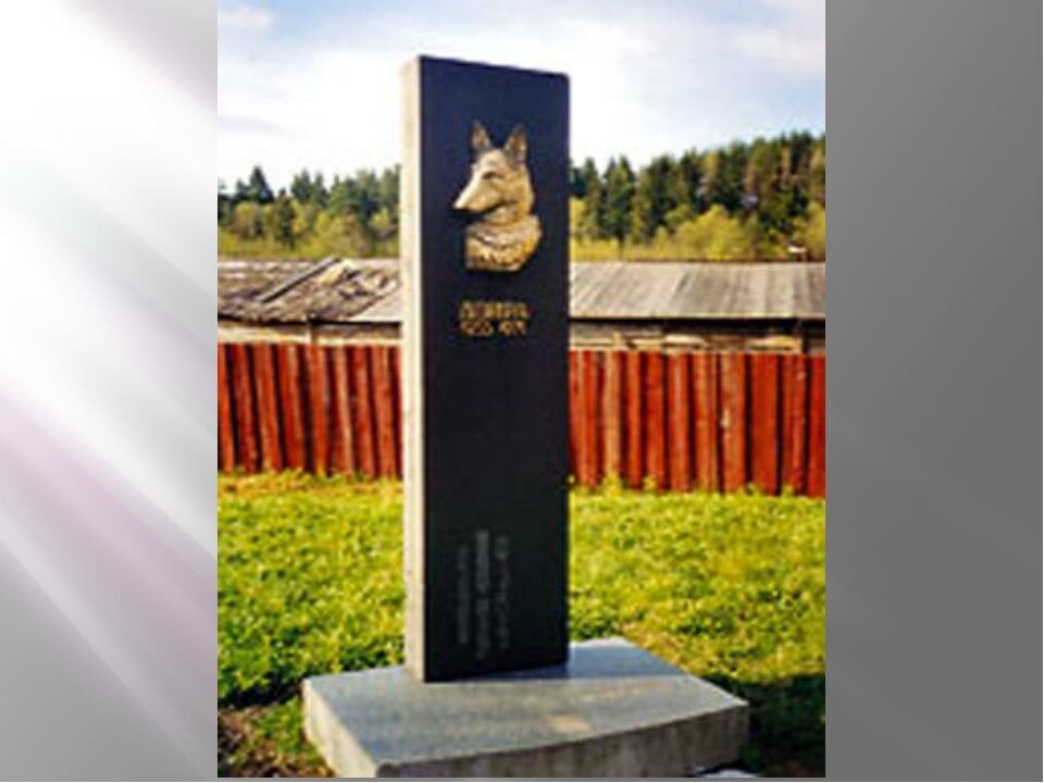 Памятник собаке Дойре. г. Сортавала. (фото из интернета)