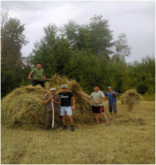 На заготовке сена.