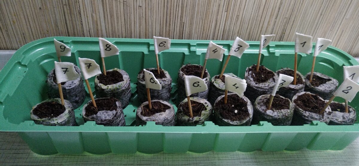 Листаем галерею ;)