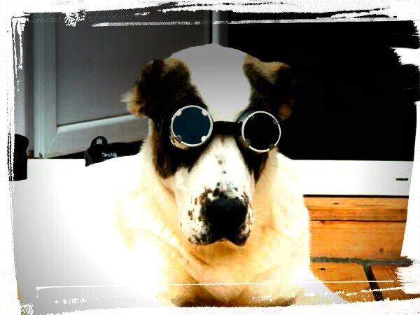 "Ну не идиот, а?