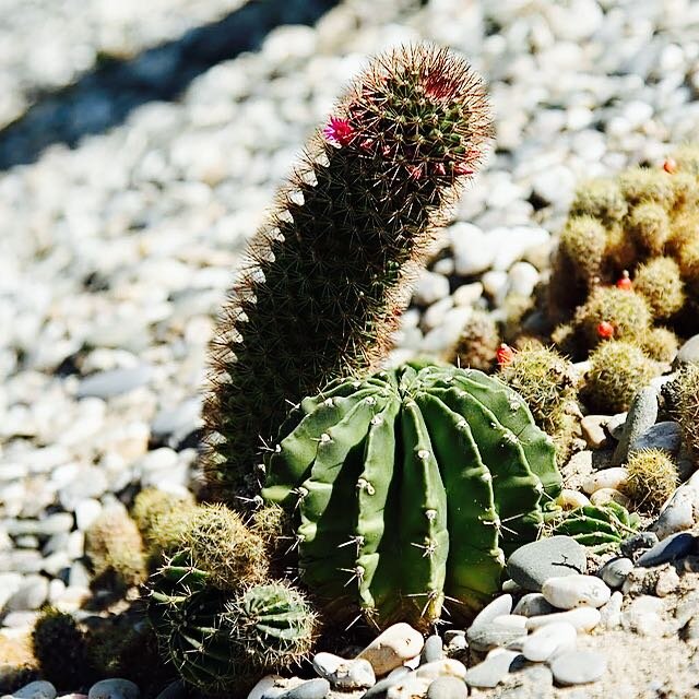 Какой только тематике не отыщется в архиве...