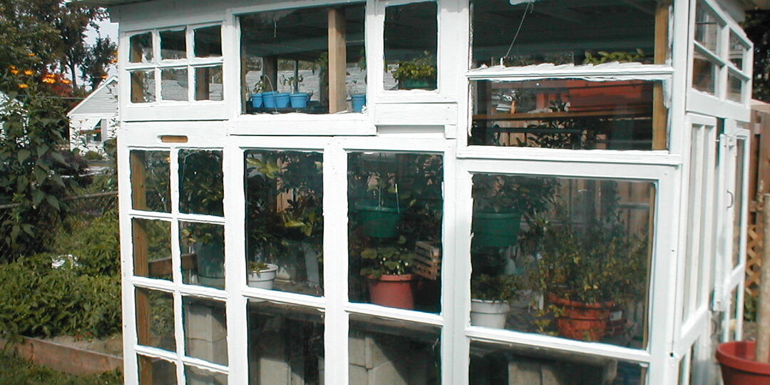 Как правильно сделать теплицу из старых окон