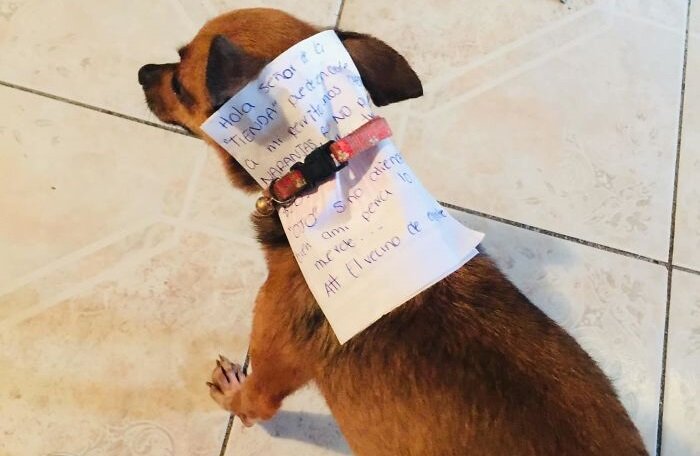 Фото: ckarlozm / Facebook