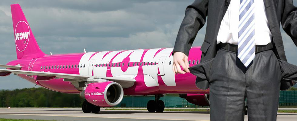 картинка из сети