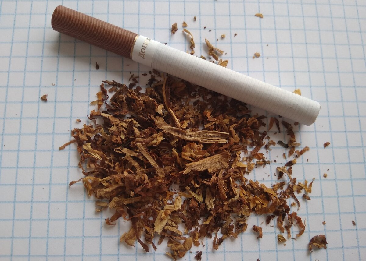 Cual es el mejor tabaco