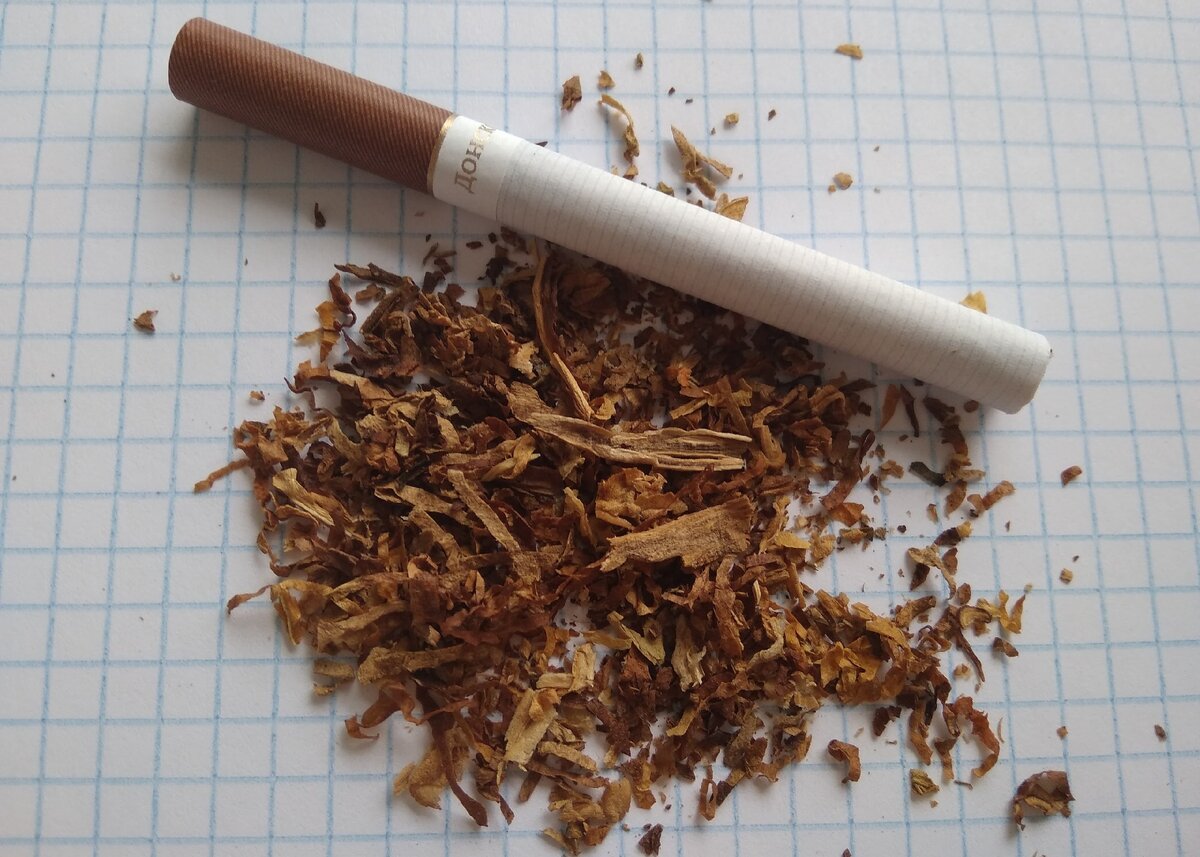 Cual es el mejor tabaco para fumar